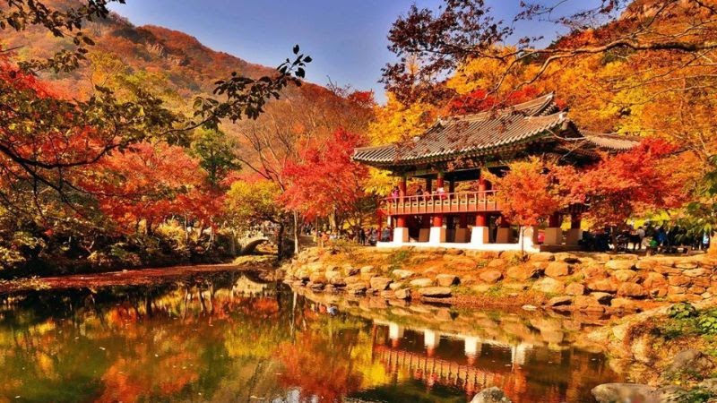 Du lịch Busan - Mùa thu lá đỏ ở Busan