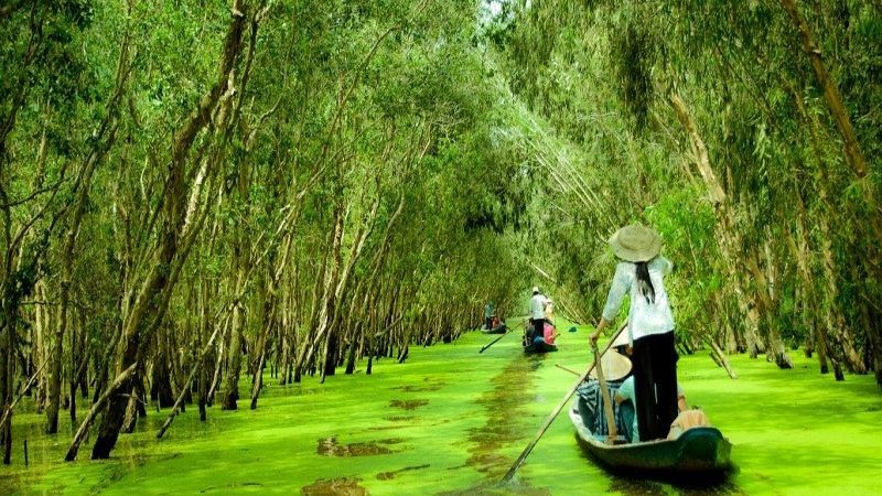 Viet Nam's traveling destinations - Sailing boats on An Giang River