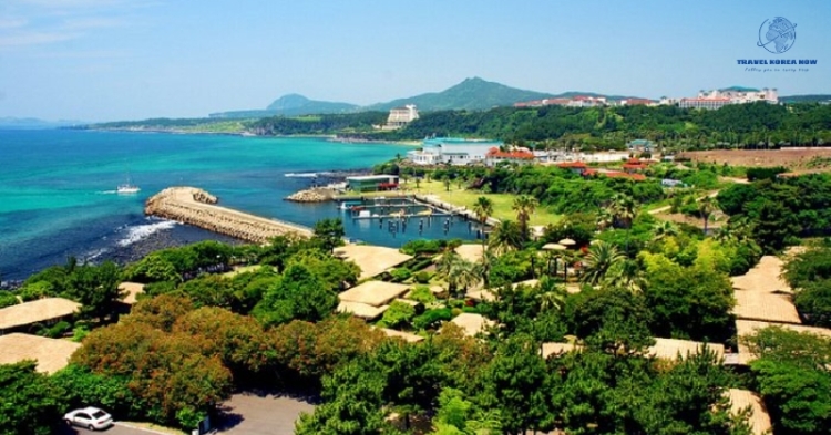 Khách sạn ở đảo Jeju - The Seaes Hotel & Resort