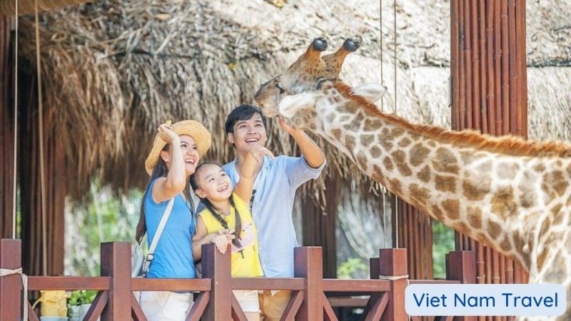 Phu Quoc Island - Children excitedly feed giraffes in Vinpearl Safari