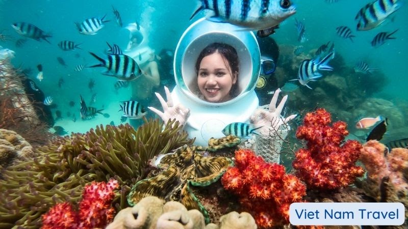 Phu Quoc Island - A visitor takes pictures of colorful sea creatures